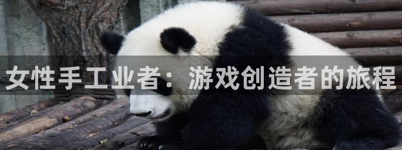 28大神预测app苹果