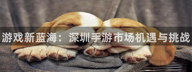 28大神官网预测