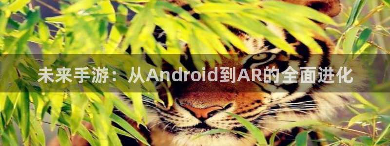 manbet云集预测网