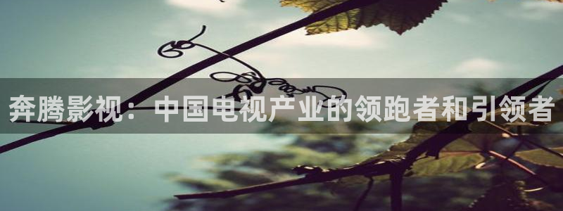 yy金苹果影院