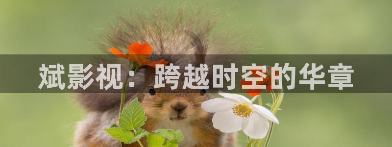神马影院苹果：斌影视：跨越时空的华章