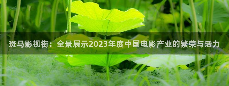 苹果电影完整版播放：斑马影视街：全景展示2023年度中国电影产业的繁荣与活力