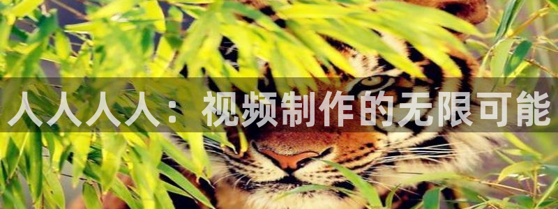 在线电影 苹果