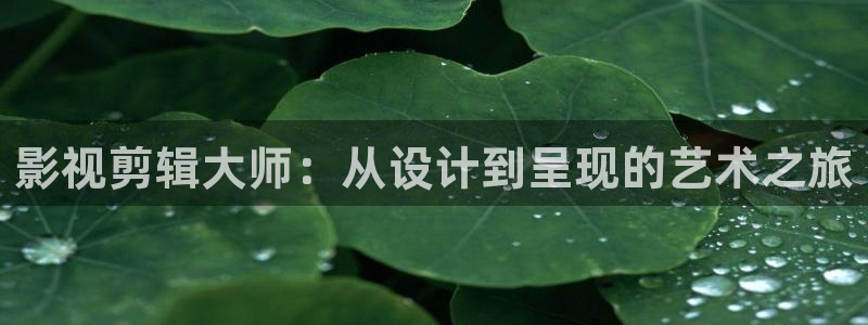 苹果理论电影