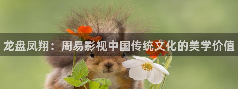 苹果影院在线观看：龙盘凤翔：周易影视中国传统文化的美学价值