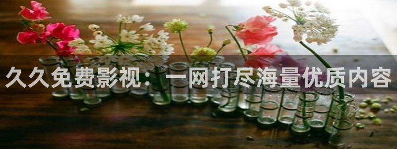 苹果tv在线影院：久久免费影视：一网打尽海量优质内容